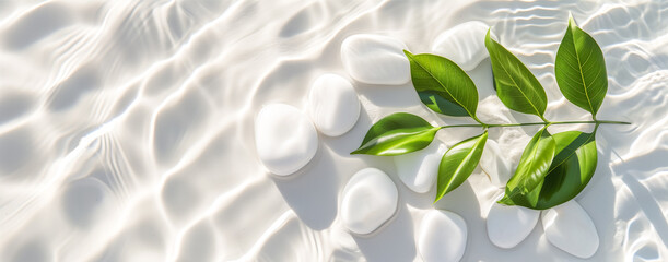 Wall Mural - Transparent and clean white water  with white stones, green leaves and sun shadow, top view. abstract spa background concept banner for cosmetic body care.  Nature zen beauty backdrop, mock up