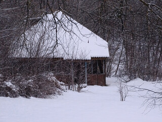 Wall Mural - house in the woods