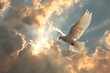 White dove as a symbol of peace flying against the backdrop of fire and explosions.A white dove with wings wide open in the blue sky air with clouds and sunbeams.