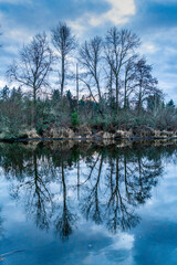 Canvas Print - Sammamish River Trees 2