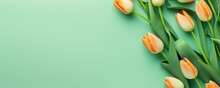 Spring Tulip Flowers On Green Background Top View In Flat Lay Style