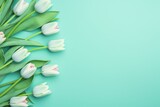 Fototapeta Tulipany - Spring tulip flowers on mint green background top view in flat lay style 