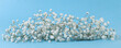 Small white Gypsophila flowers on blue background..Fluffy and cloud-like Gypsophila, commonly known as 'Baby's breath'.