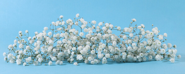 Wall Mural - Small white Gypsophila flowers on blue background..Fluffy and cloud-like Gypsophila, commonly known as 'Baby's breath'.