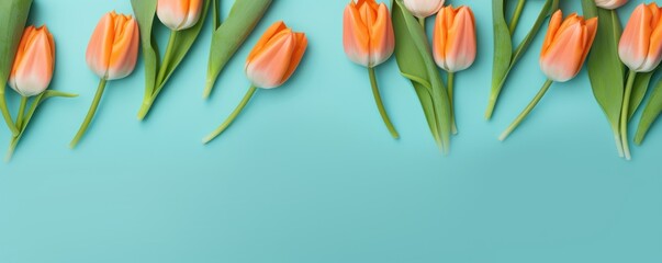  Spring tulip flowers on teal background top view in flat lay style