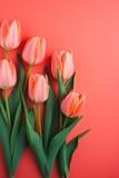Fototapeta Tulipany - Spring tulip flowers on vermilion background top view in flat lay style