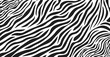 © GraphicGalaxy - zebra skin pattern Wavy black and white zebra fur texture vector Abstract background with various arrow pattern