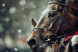 Portrait of thoroughbred racehorse, close-up. Horse's muzzle. Horseback riding
