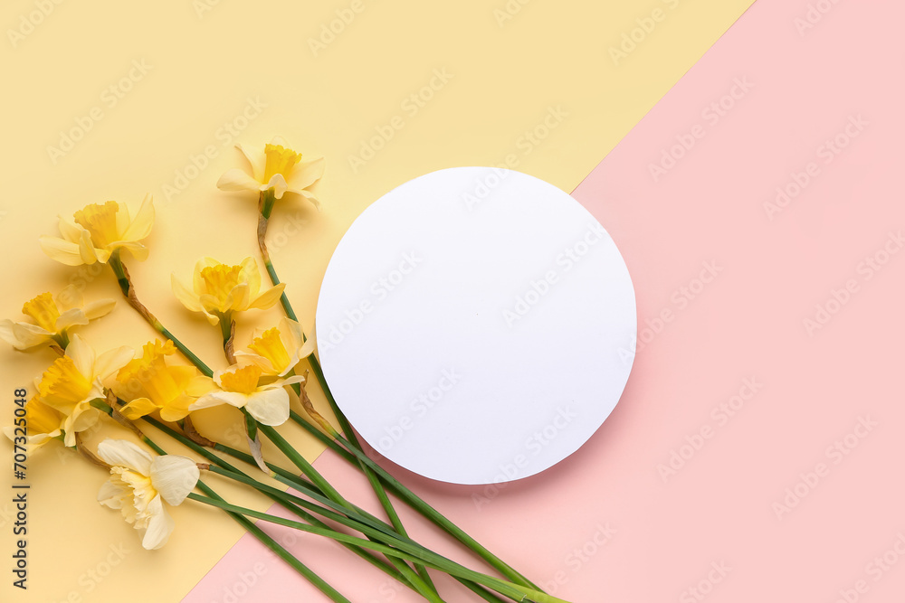 Beautiful narcissus and round blank card on color background