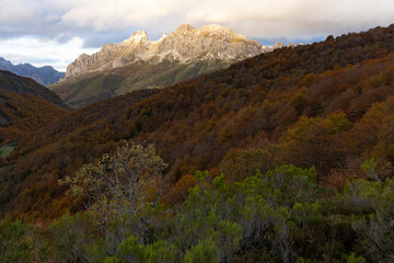 Panoramic landscape of Picos de Europa national park in Autumn with brigh colorful leaves in fall