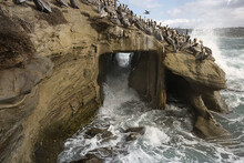 2024-01-11 A CAVE WITH WAVES SMASHING THROUGH THE OPENING WITH BROWN PELICANS ON TOP OF THE ROCK FORMATION WITH WAVES AND A NICE SKY AT THE LA JOLLA COVE NEAR SAN DIEGO CALIFORNIA