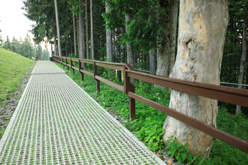 Wall Mural - View of walkway with railing in green forest