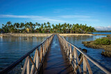 Fototapeta Pomosty - Gateway to Paradise: Wooden Pier Leading to a Palm-Fringed Shoreline