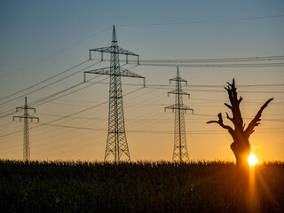 Canvas Print - Strommasten und Sendemast in der Abendsonne