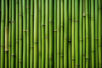 Poster - Bamboo fence background panoramic texture