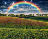 Fototapeta Krajobraz - Beautiful rainbow over the field. Agricultural landscape. Nature of Ukraine