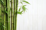 Fototapeta Sypialnia - Top view of green bamboo stems on white wooden background with space for text