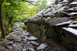 stone path in forest