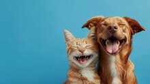 Banner Pets. Dog And Cat Smiling Dogs With Happy Expression. And Closed Eyes. Isolated On Blue Colored Background On Summer Or Spring Season