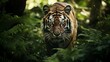 Majestic Bengal tiger prowling through dense jungle foliage, bathed in dappled sunlight -Generative Ai
