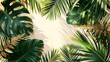 Tropical palm leaf shadow. Summer beach sand fashion background concept for travel vacation or ecological green cosmetics design