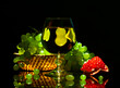 Wine glass with white wine and grapes, pomegranate on black background