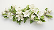 photorealistic 3D jasmine plant, delicate white flowers rendered detail, isolated on a white canvas