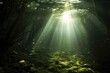 Floating Seaweed Forest: Sunlight filtering through a dense forest of floating seaweed.