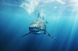 Isolated, impressive shark swimming freely in the ocean. Generative AI