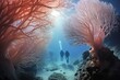 Sea Fan Forest: Divers exploring a forest of sea fans.