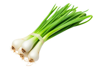 Wall Mural - bunch of fresh green onions isolated on transparent background Remove png, Clipping Path, pen tool