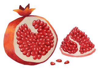 Juicy pomegranate with seeds watercolor illustration. White background