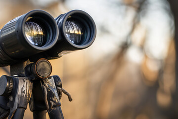 Close - up of bird watching, binoculars, spring wildlife. 