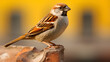 Sparrow. Sparrows are a family of small passerine birds, generative ai