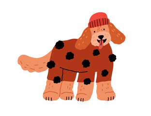 Wall Mural - Cute dog in canine clothes, wearing warm sweater and winter hat. Funny labradoodle doggy in knitwear. Happy puppy in knitted wool apparel. Flat vector illustration isolated on white background