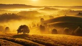 Fototapeta Fototapety do pokoju - Rzędy wzgórz i drzew pokryte żółtą mgłą podświetloną promieniami wschodzącego słońca. 