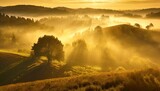 Fototapeta Do pokoju - Rzędy wzgórz i drzew pokryte żółtą mgłą podświetloną promieniami wschodzącego słońca. 