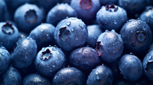 Sweet Fresh Blueberry Close Up