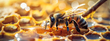 Honey Bee Sitting On Hexagon Patterned Honeycomb. Selective Focus. Generative AI,