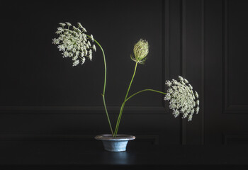 Wall Mural - Still life with white wildflowers. Minimalism.