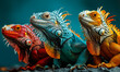 Vividly Colored Iguanas in Red, Blue, and Orange Hues Lined Up, Symbolizing Diversity, Uniqueness, and Wildlife Beauty Against a Teal Background