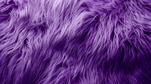 Purple Fur Texture Top View. Purple Or Lilac Sheepskin Background