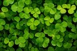 Green clover background. St Patrick background. Generative ai	