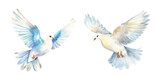 Fototapeta Pokój dzieciecy - watercolor of dove bringing peace