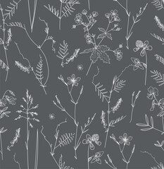 Sticker - Seamless pattern. Field flowers and grasses, line drawing. Vector illustration