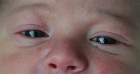 Wall Mural - Newborn closeup of baby eyes, first day of life