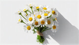 Fototapeta  - Bukiet kwiatów rumianku 