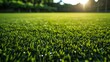 Lush perfectly manicured green turf of a sports field in the morning light