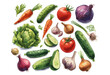 A set of vegetables. Colored icons of various vegetables, potatoes, onions, garlic, greens cabbage, tomatoes cucumbers onions zucchini