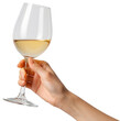 © HappyTime 17 - Hand holding a glass of wine illustration PNG element cut out transparent isolated on white background ,PNG file ,artwork graphic design.